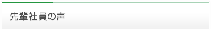 先輩社員の声